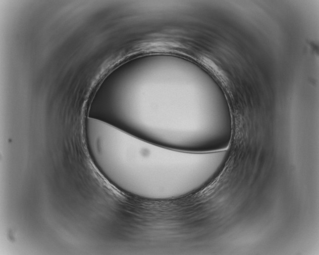 X0000098041384200803281422