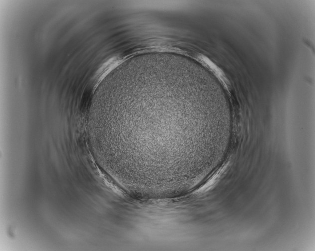 X0000098041385200803281422