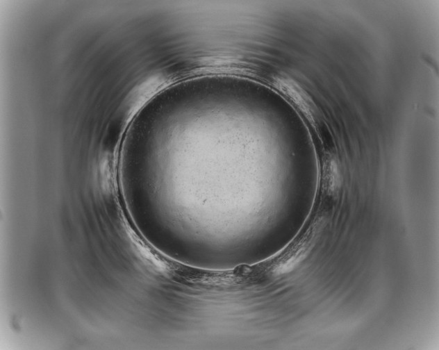 X0000098041386200803281422