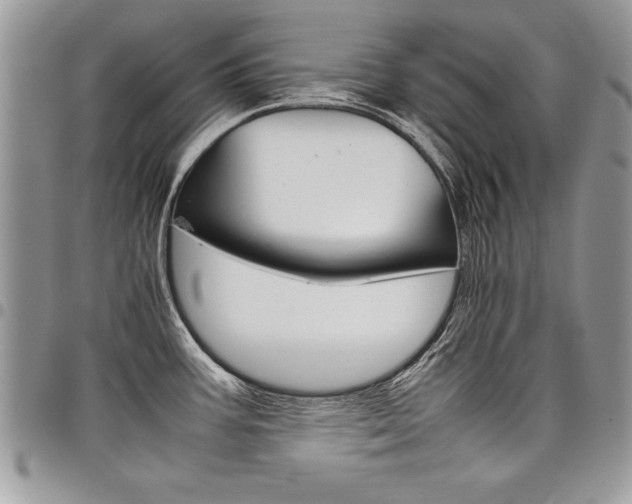 X0000098041387200803281422