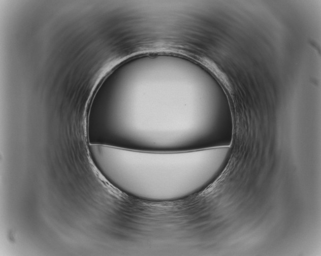 X0000098041388200803281422