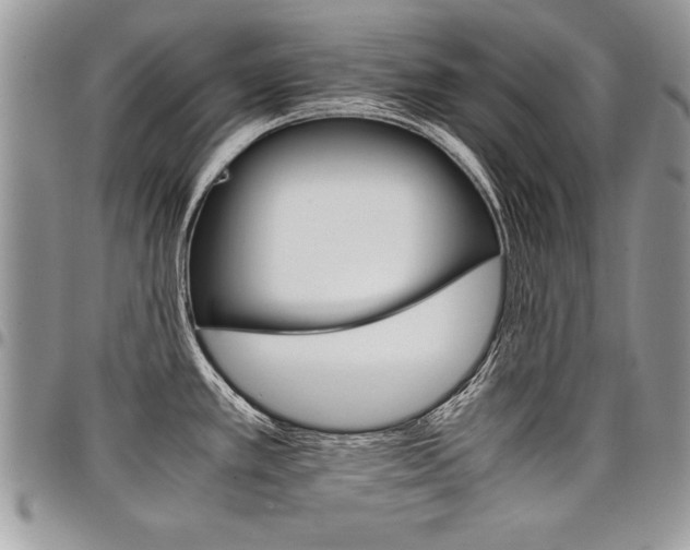 X0000098041389200803281422