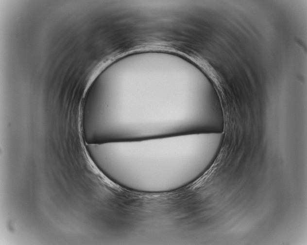 X0000098041390200803281422