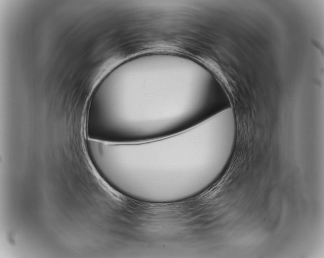 X0000098041391200803281422