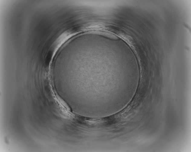 X0000098041392200803281421
