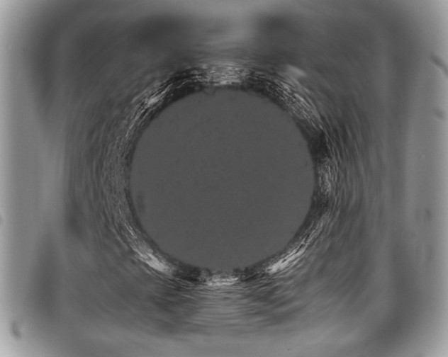 X0000098041393200803281421