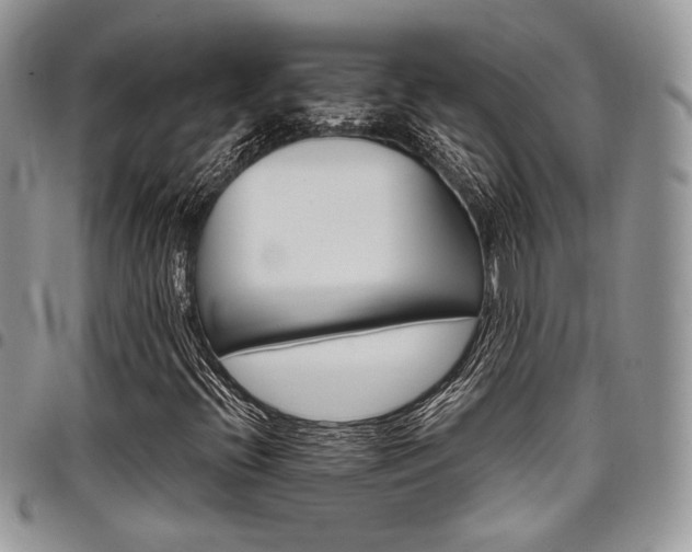 X0000098041396200803281421