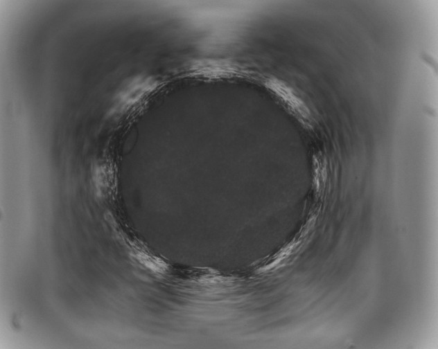 X0000098041398200803281421