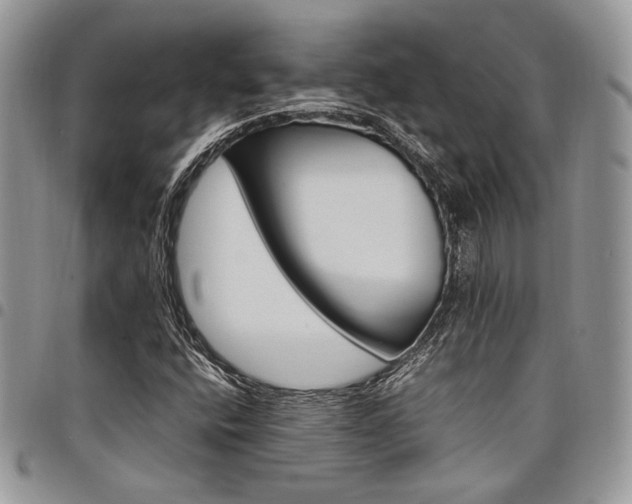 X0000098041400200803281421
