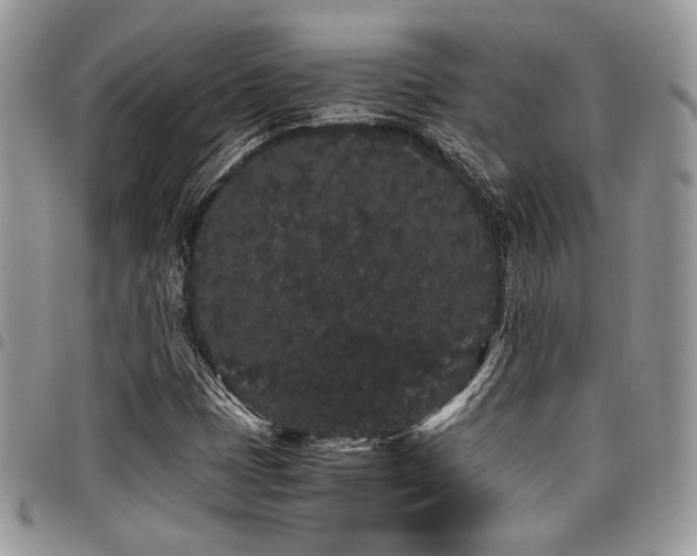 X0000098041401200803281421