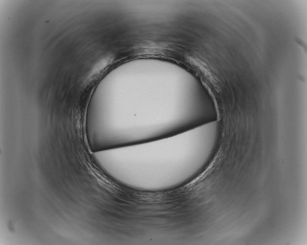 X0000098041403200803281421