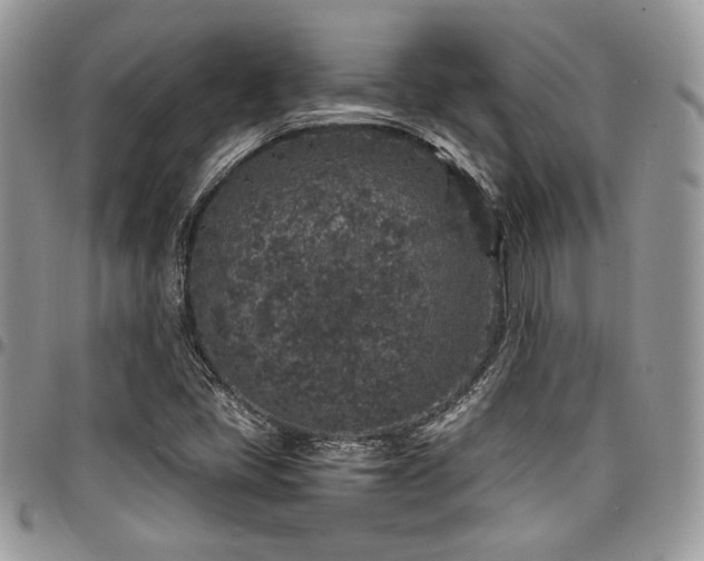 X0000098041405200803281421