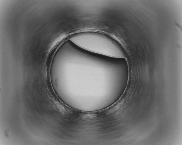 X0000098041406200803281421