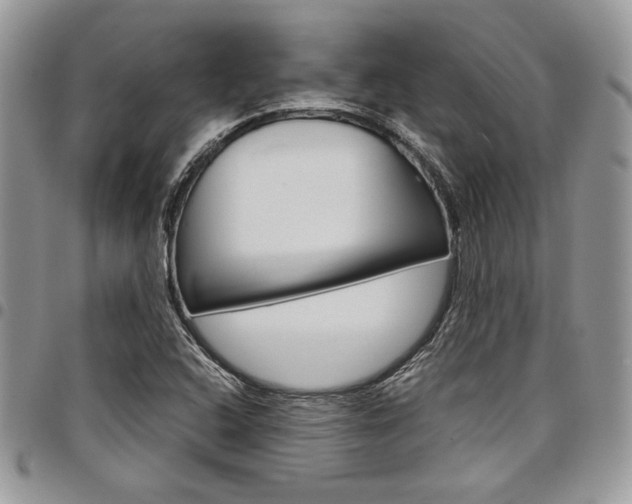 X0000098041408200803281421