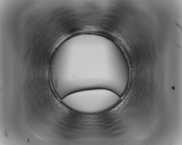 X0000098041409200803281421