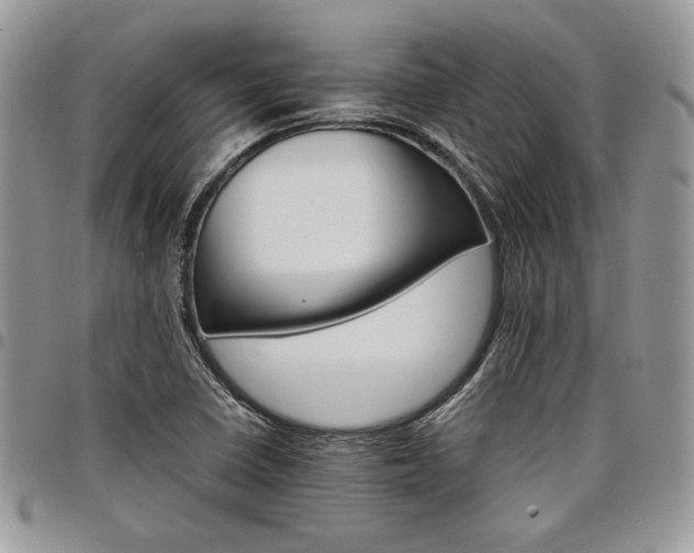 X0000098041410200803281421