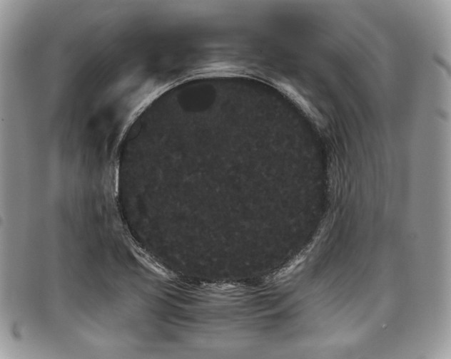 X0000098041413200803281421