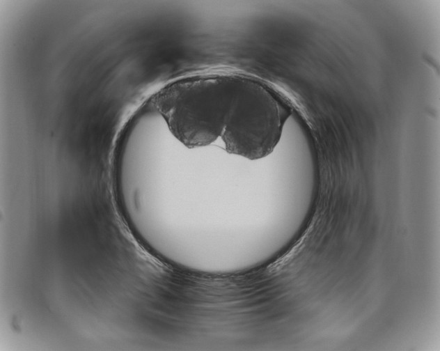 X0000098041414200803281421