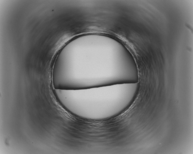 X0000098041415200803281421