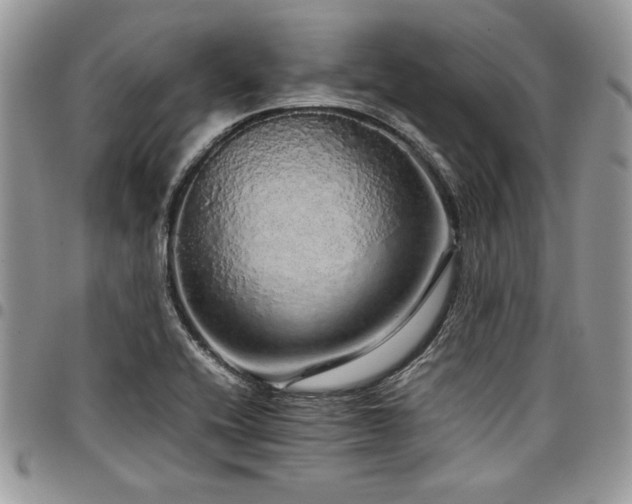 X0000098041416200803281421