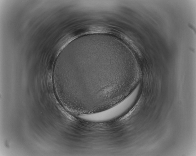X0000098041417200803281421