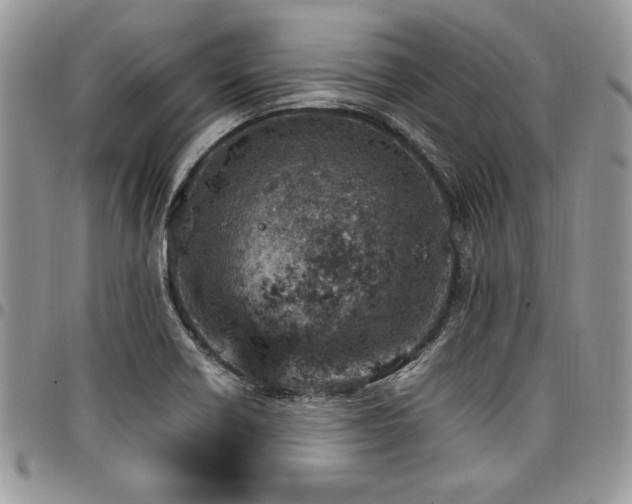 X0000098041418200803281421