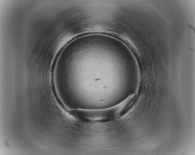 X0000098041424200803281421