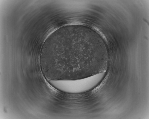 X0000098041425200803281421