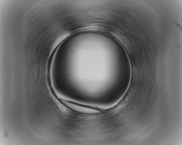 X0000098041426200803281421