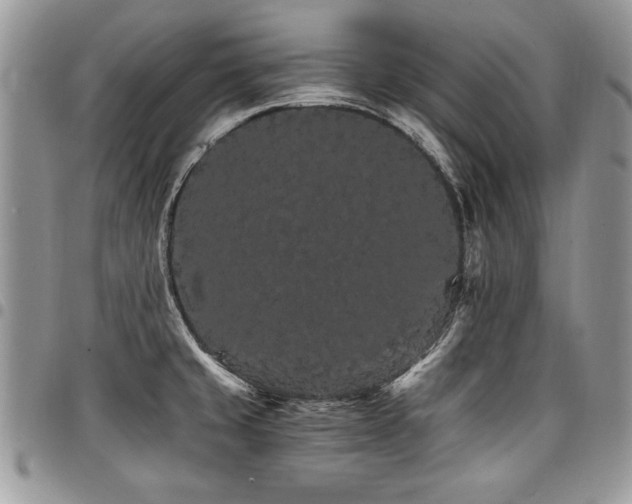 X0000098041429200803281421
