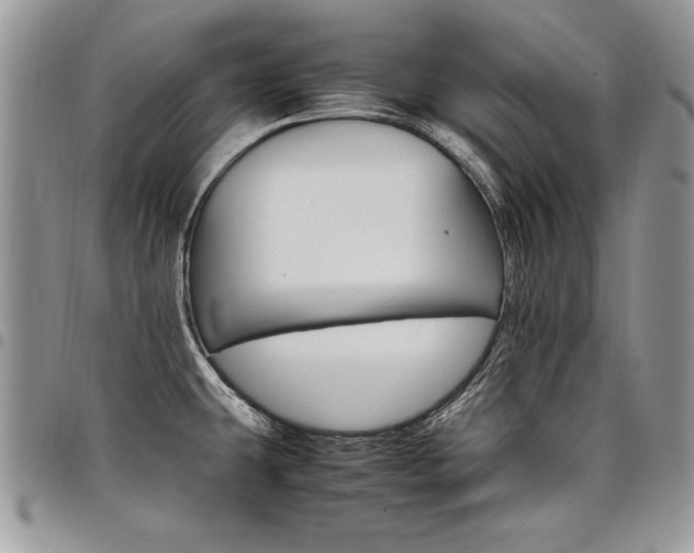 X0000098041431200803281421