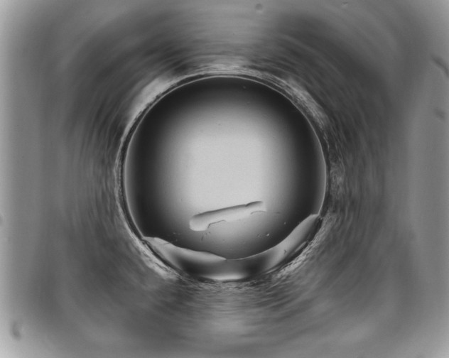 X0000098041432200803281421