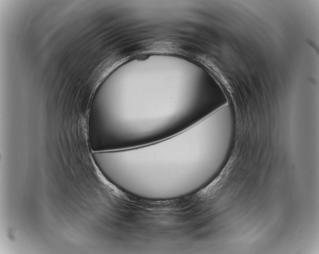 X0000098041433200803281421