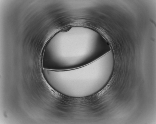 X0000098041434200803281421