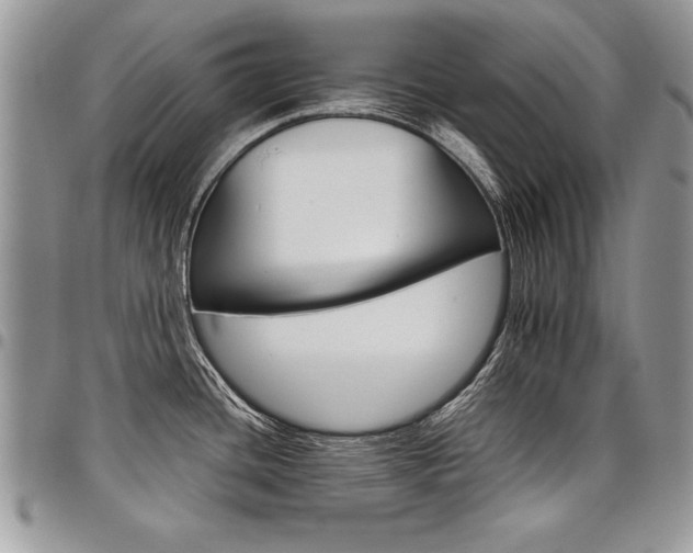 X0000098041436200803281421