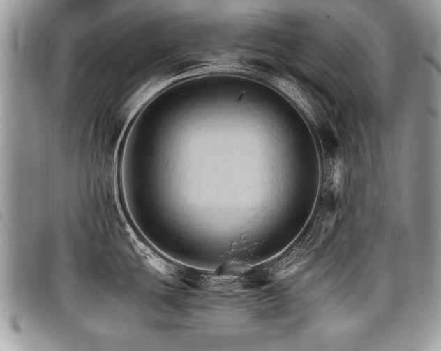 X0000098041439200803281421