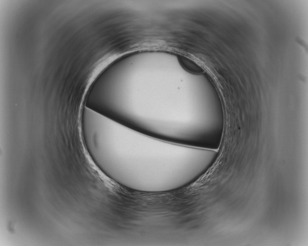 X0000098041440200803281421