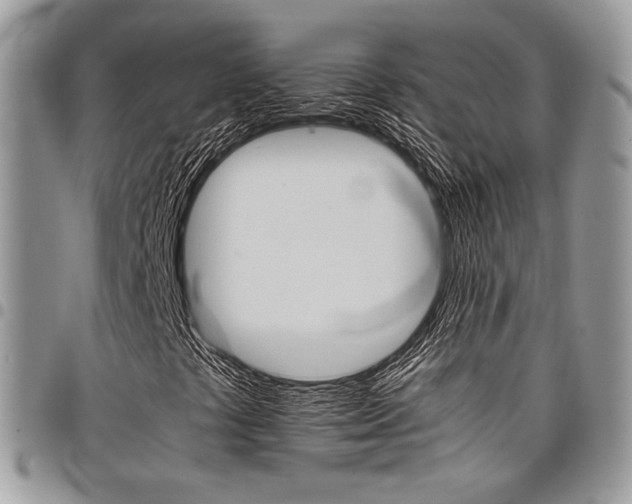 X0000098041441200803281421