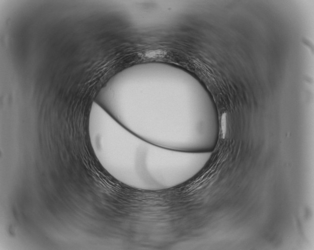 X0000098041443200803281421