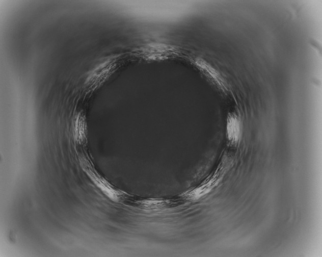 X0000098041444200803281421
