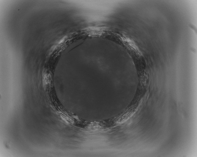 X0000098041445200803281421