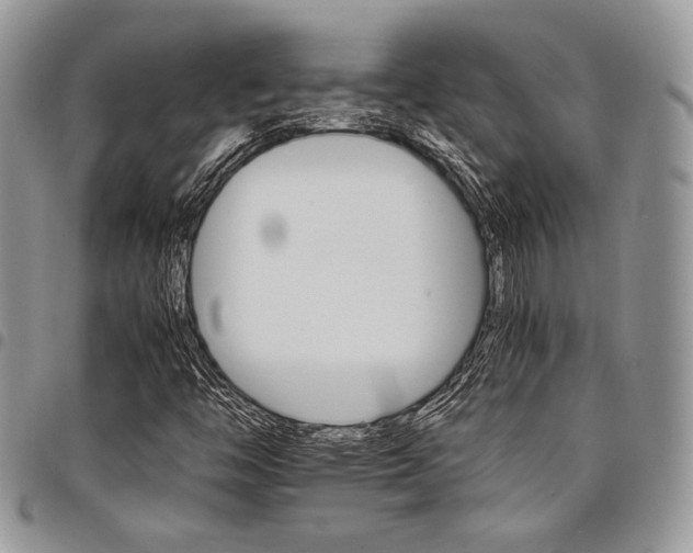 X0000098041446200803281421