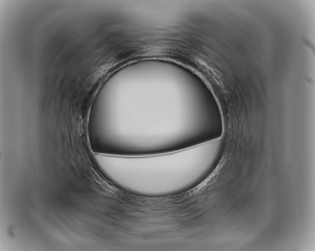 X0000098041449200803281421