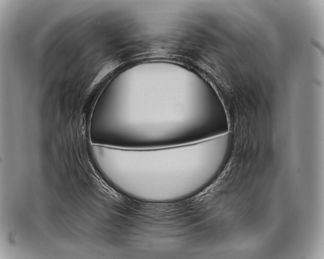 X0000098041450200803281421