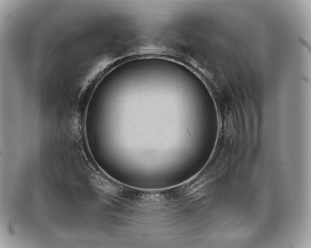 X0000098041454200803281421
