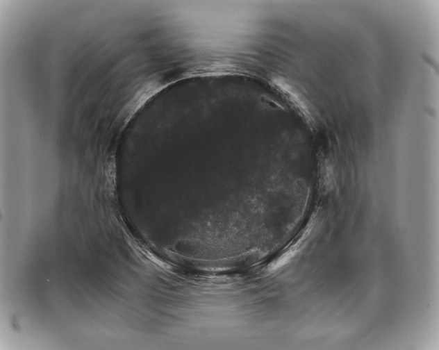 X0000098041457200803281421