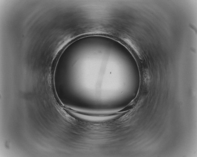 X0000098041460200803281421
