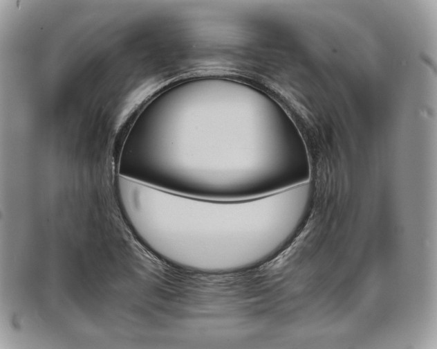 X0000098041461200803281421