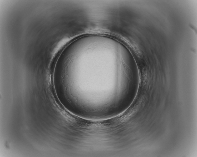 X0000098041462200803281421