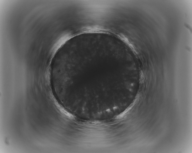X0000098041463200803281421